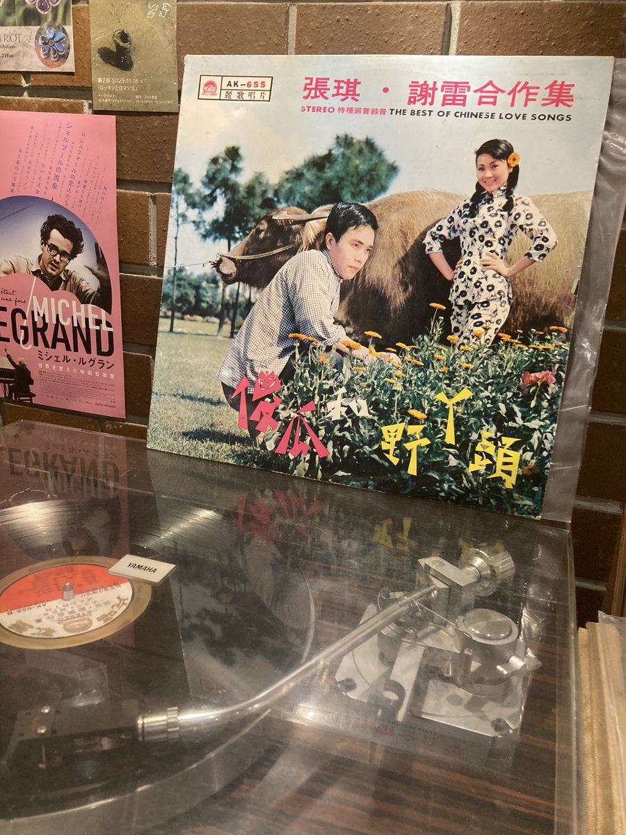 古書ほうろう (@legrandsnes) / Posts / X