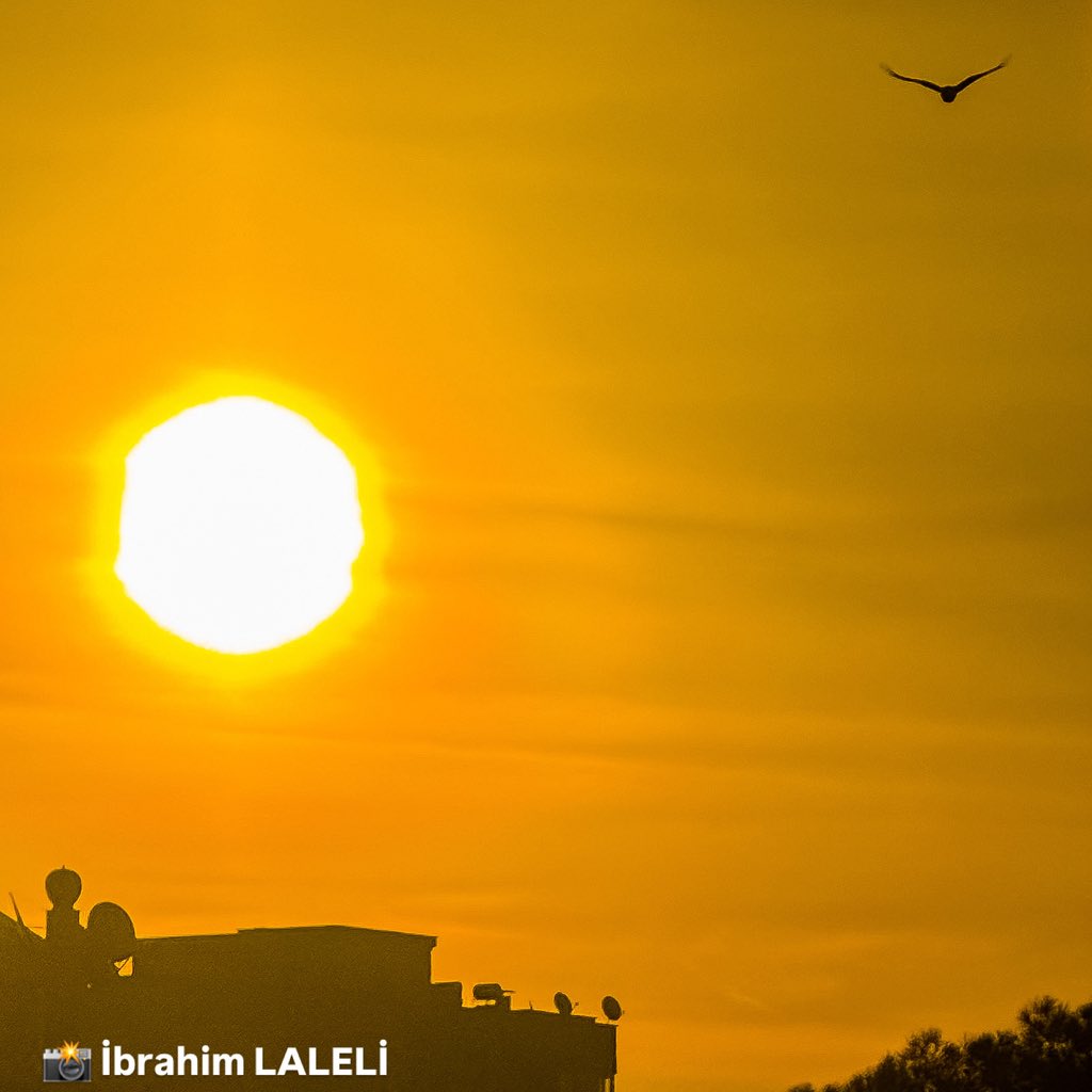 Günaydın Antalya 🥰