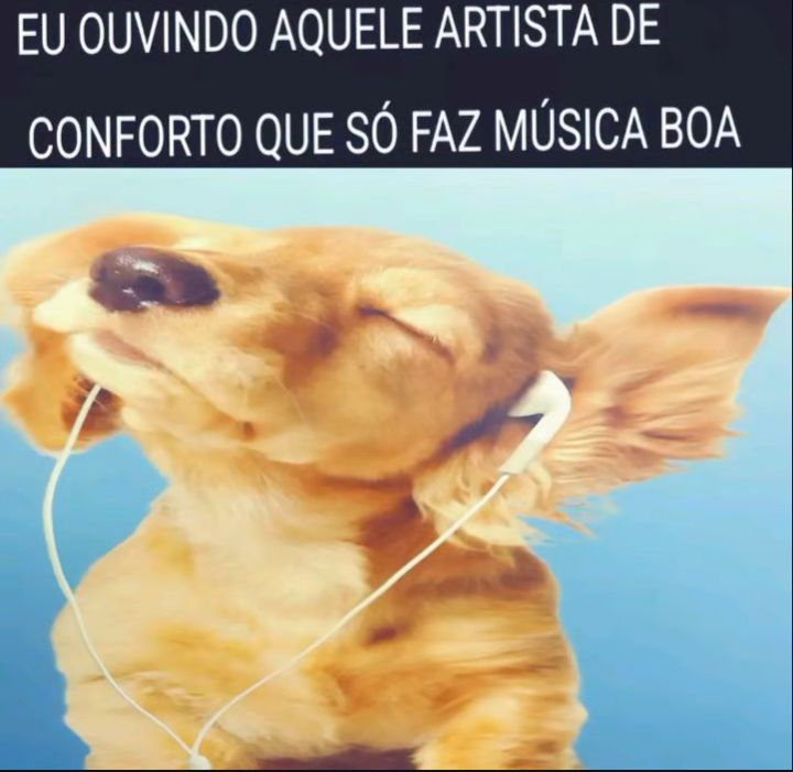 perfil dedicado a gatinhos e p3it0s tweet media