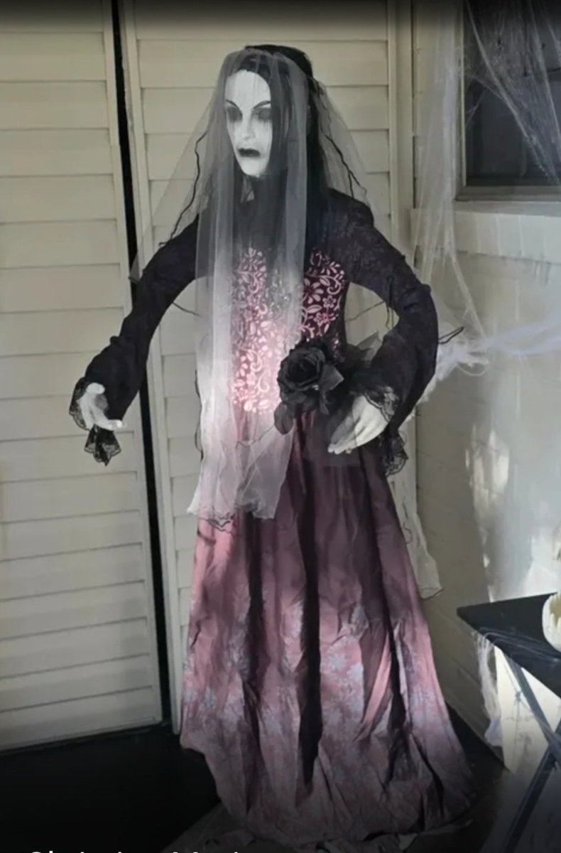 I found my soulmate, and she won best costume!  <a href="/elonmusk/">Elon Musk</a> <a href="/realDonaldTrump/">Donald J. Trump</a> <a href="/RepLuna/">Rep. Anna Paulina Luna</a> <a href="/RepNancyMace/">Rep. Nancy Mace</a>