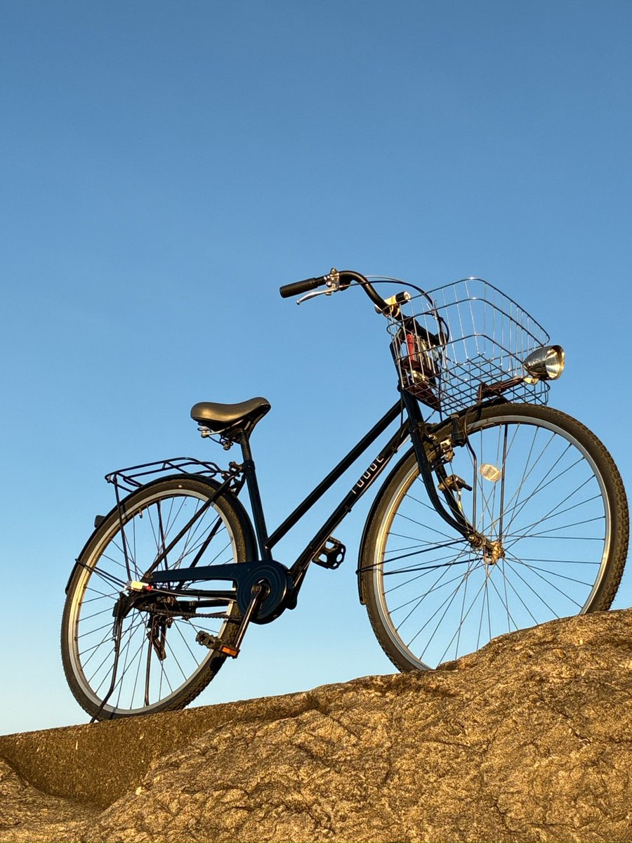 チャリTNページ 杉浦商店 on X