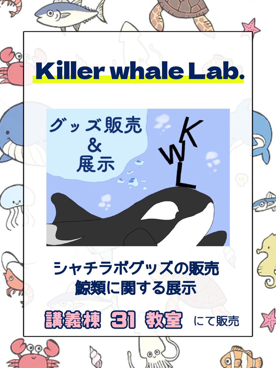 umitaka_koho's tweet photo. ãåºå±å£äœç޹ä»ãäœéš2ã
ãKiller whale Lab.ã
ã·ã£ãã©ãã°ããºã®è²©å£²
鯚é¡ã«é¢ããå±ç€ºããããªããŸãïŒ
å Žæã¯5å·é€š315æå®€ ã§ã
ã·ã£ãã©ãã°ããºã³ã³ããªãŒããç®æããŠã¿ãŠã¯ãããã§ããããïŒ
#æµ·é·¹ç¥
#æµ·æŽå€§ #tumsat https://t.co/0X6pT835eS