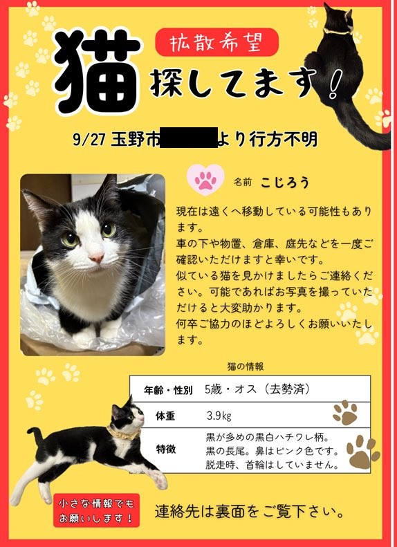 迷子 ページ 6/t0000 - Trails in the Database