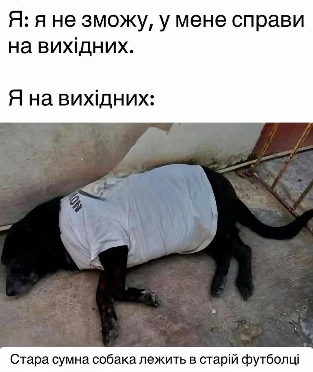 Гумор меми і приколи Сема 😹✌️ (@prikolsema) on Twitter photo 