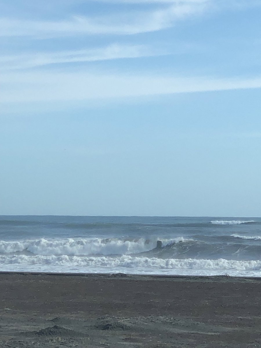 ｻｰﾌｨﾝしたった…気持ちいい

🏄‍♂️56
L
ｵｰﾂｷ66