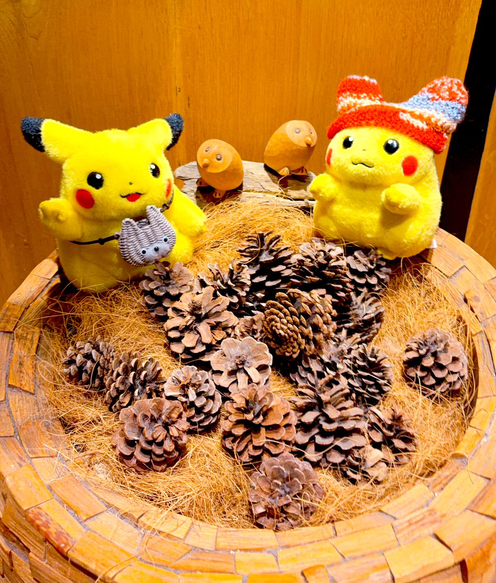 はなちき@ぬいぐるみ好き on X