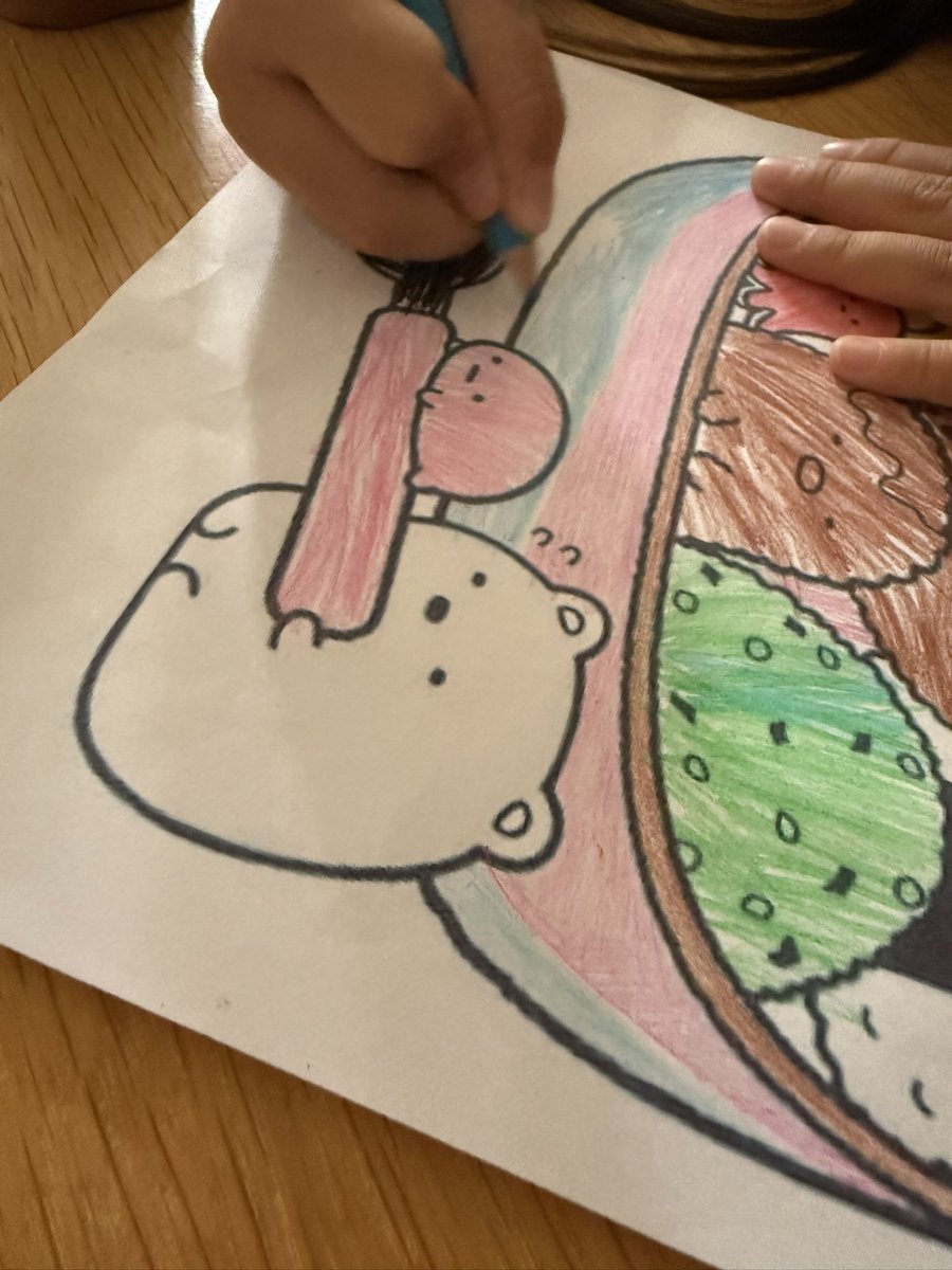 お弁当箱、、、、、、🐦‍⬛🩵🩷