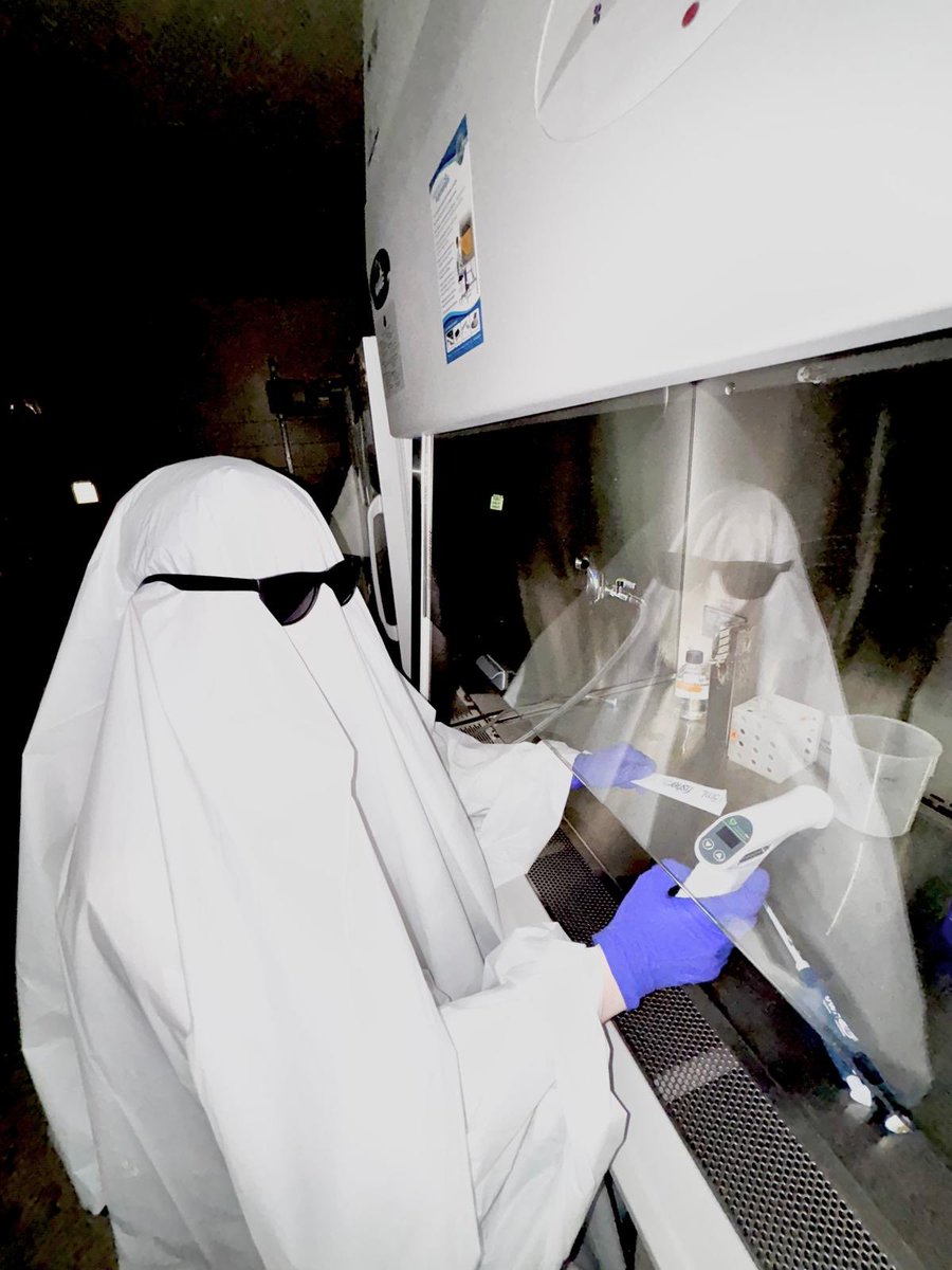 The Robarts Cellular and Molecular Imaging Group tweet media