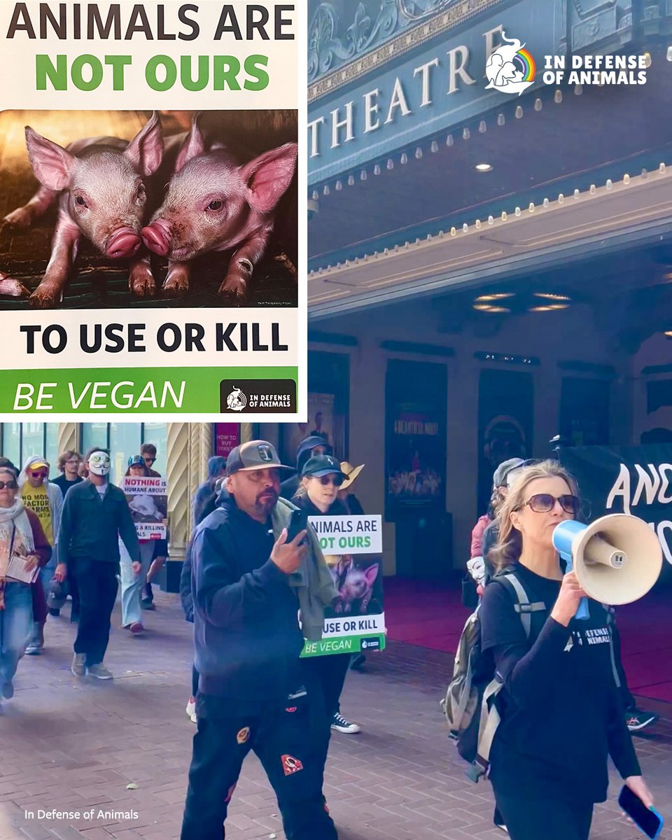 IDAUSA's tweet photo. National Animal Rights Day brings our global movement together in one powerful message: animals are not ours to use.
Watch: https://t.co/o1m4S3fzlf
Pls RT & support our work for farmed animals https://t.co/XfuAFgSOND
#NationalAnimalRightsDay #AnimalLiberation #InDefenseOfAnimals https://t.co/xDyISDBk8j