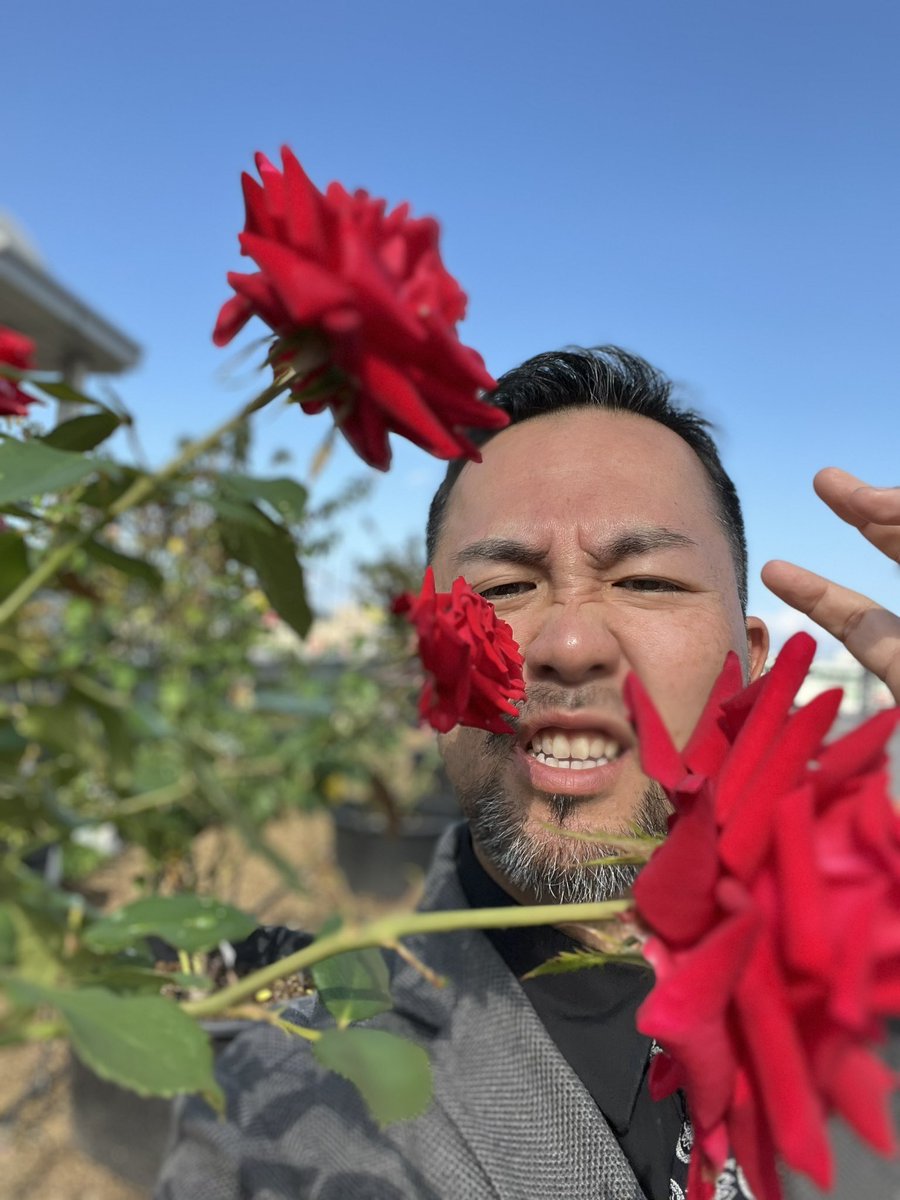 ❤はるるんさま❤DeerDeer☆魔法のエナジーワーク❤ ENS-PT-L22X ペーパーシアター ここで働かせてください （千と