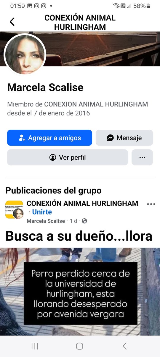 Contacto: Marcela Scalise en facebook.