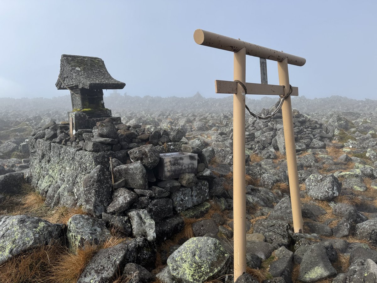 昨日のthe HANGOVERSのライブは素晴らしかった⭐︎久々の新作も内容良かったし、ライブでも盛り上がった！
名曲「フロアライト」の中でも好きな歌詞の一節、「登る山は間違ってないか♪」
っことで、今日は蓼科山に登山に来ました！