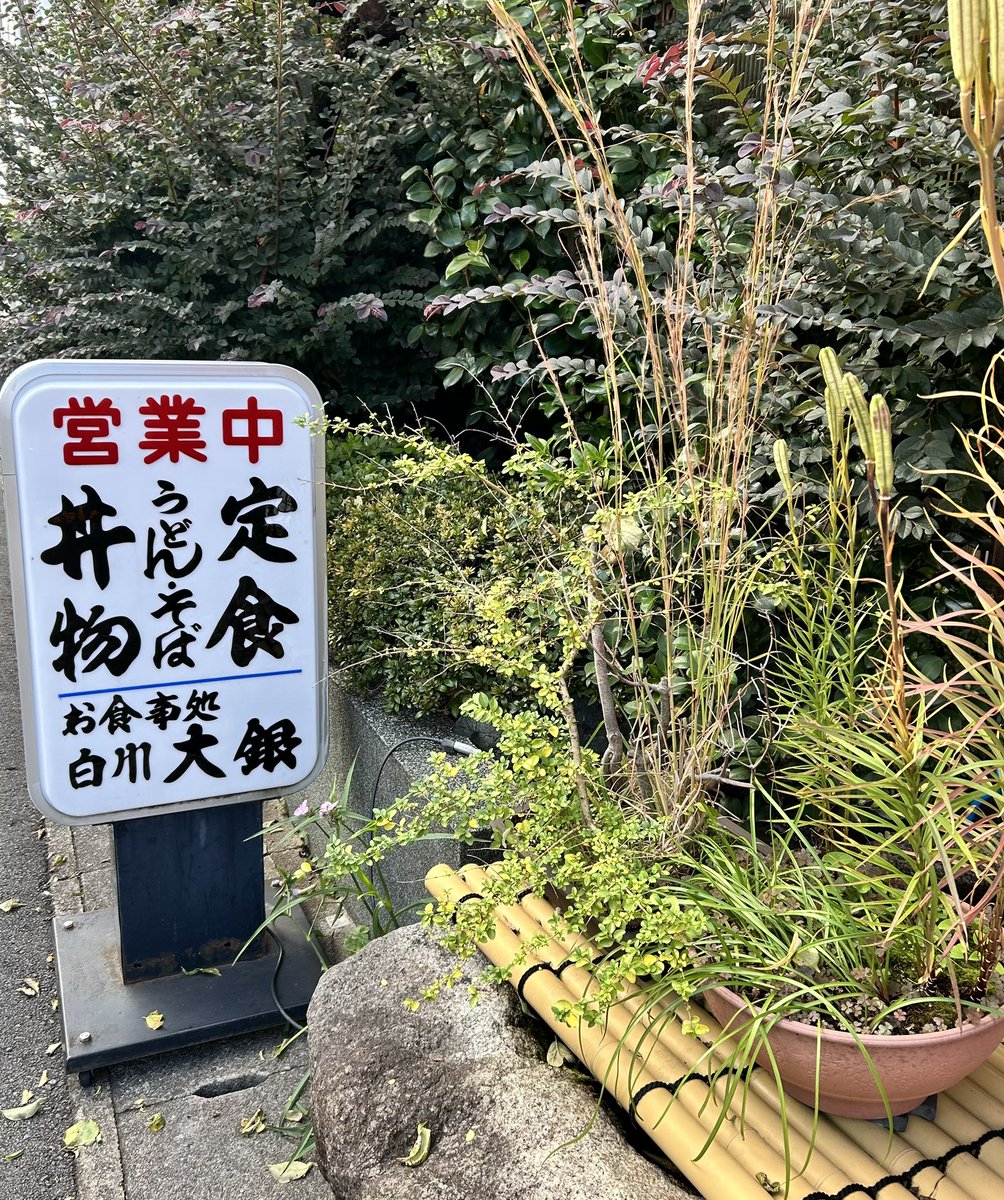 平芳幸浩 Yukihiro Hirayoshi (@dust_breeder) / Posts / X