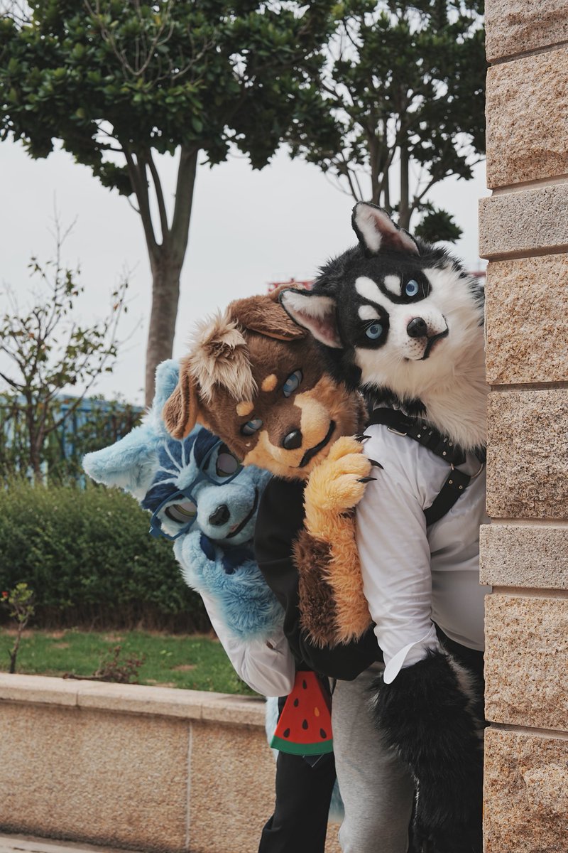 晴海徹 (はるみ とおる) 寫真系Vtuber🔜長毛了 tweet media