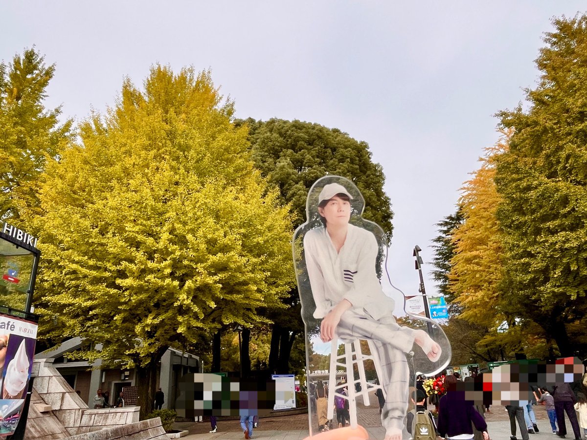 ★稀少大型本★フェロモンの謎～生物のコミュニケーション (SAライブラリー) ☆稀少大型本☆フェロモンの謎～生物のコミュニケーション (SA