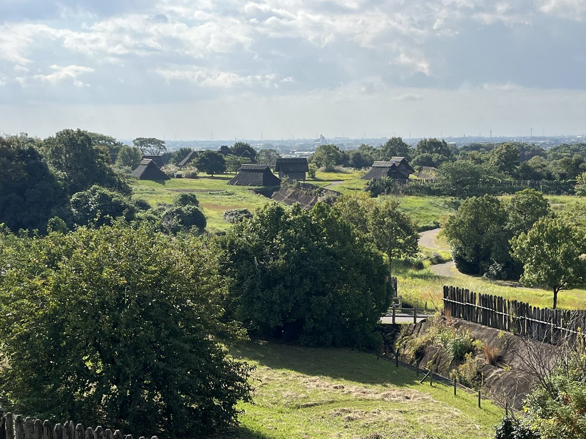 やおよろずの趣味 on X