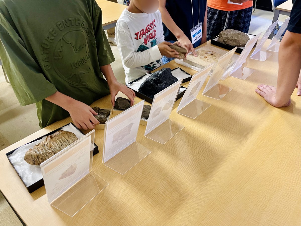 【令和7年度 恐竜博士育成講座】

第1回「オリエンテーション・化石について学ぼう」
実施しました👨‍🔬✨

博物館の役割や学芸員の仕事・どうやったらなれるかなどを解説🎓

映像で長崎市の恐竜化石や化石研究について学び、
実物標本の観察や館内ツアーも行いました🦴🦕