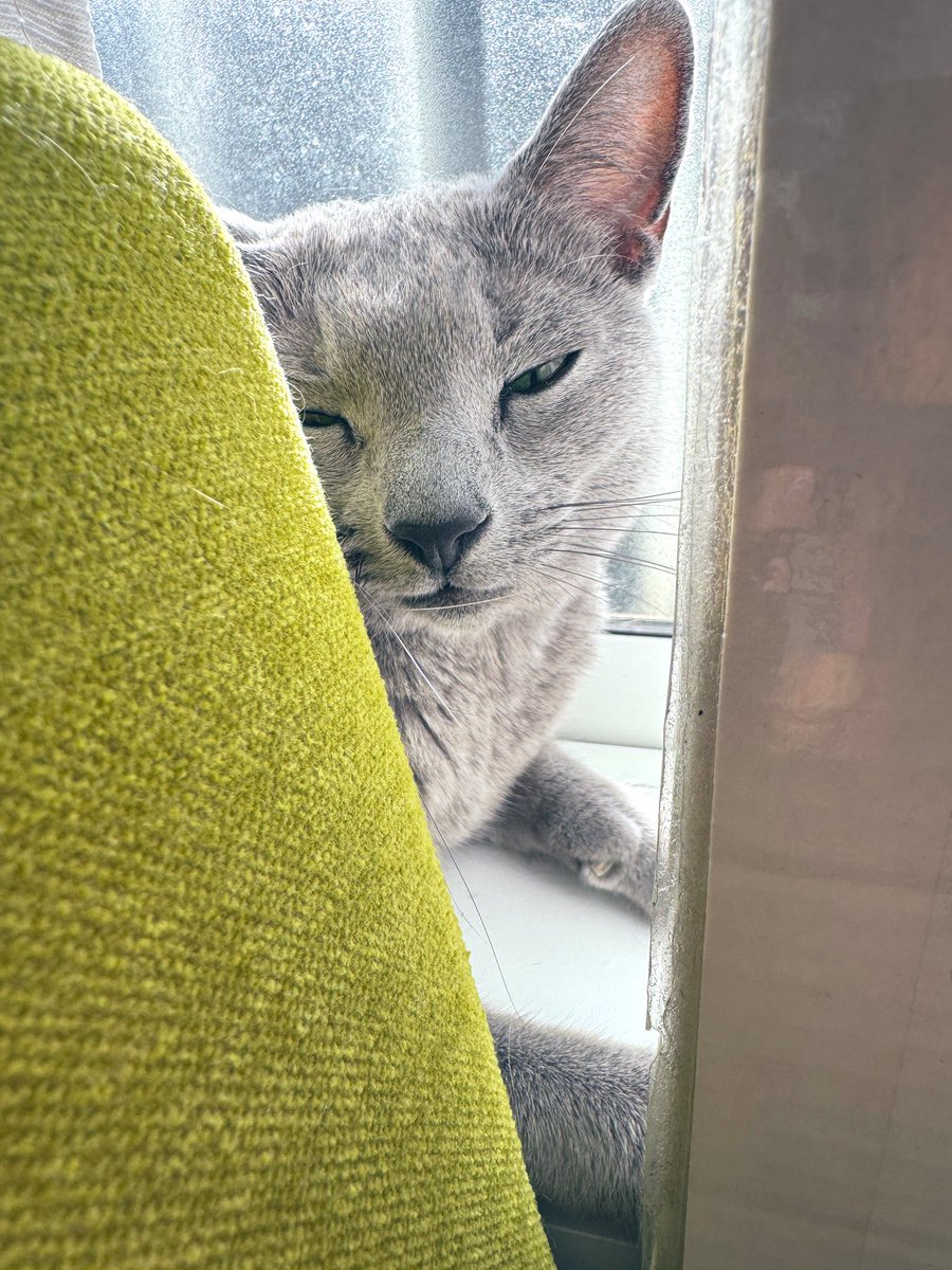 ユウノ (@youno717) / Posts / X