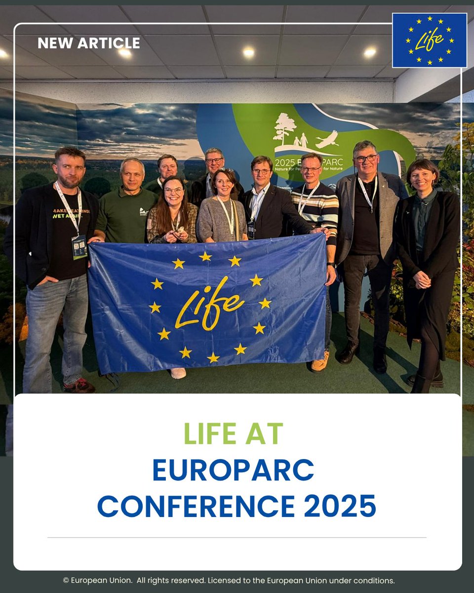 LIFEprogramme's tweet image. Putting the #NatureRestorationLaw into action! 🌿
8 #LIFEProjects, 3 days and 1 shared vision for nature at #EUROPARC2025 in Birštonas, Lithuania💚
From science to action, we are restoring nature & driving #EUBiodiversity comeback.
🗞️: cinea.ec.europa.eu/news-events/ne…