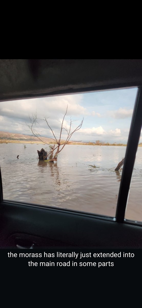wizz_kal's tweet photo. journey to St E via the holland bamboo route except we didn't end up making it much pass Middle Quarters. There was a halt in the one way traffic going to Luana due to a tree in the road I think https://t.co/M9JJ3yDiu6