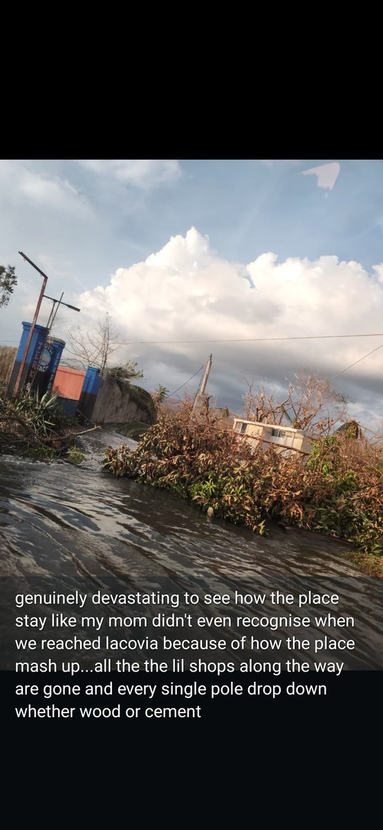 wizz_kal's tweet photo. journey to St E via the holland bamboo route except we didn't end up making it much pass Middle Quarters. There was a halt in the one way traffic going to Luana due to a tree in the road I think https://t.co/M9JJ3yDiu6