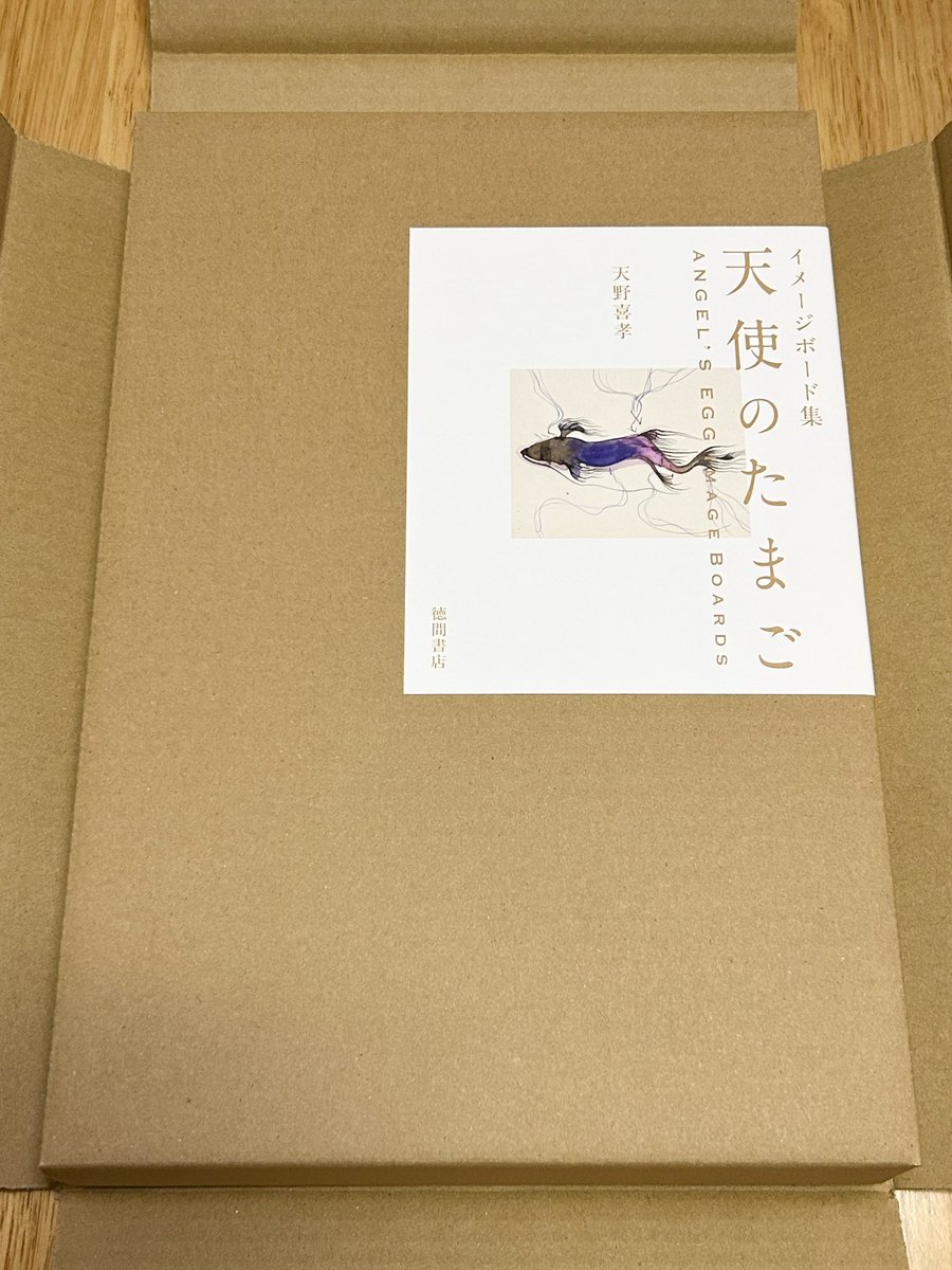 天野大虹作品集 木版画「内海」1枚 サイン 落款 そして抽選の結果、天野さんのサイン入り「天使のたまご イメージ