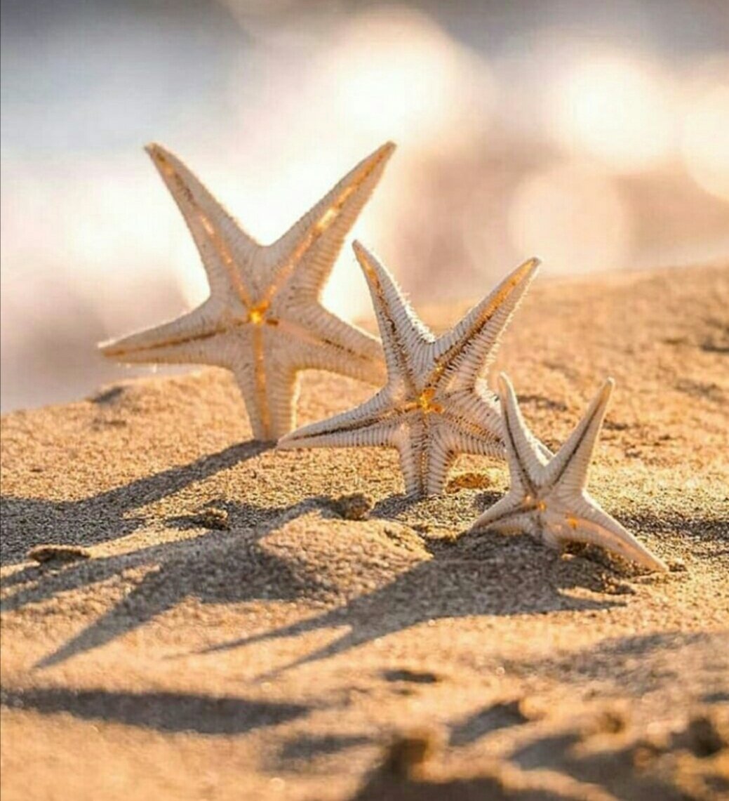 اللهمَّ أبسط علينا من رحماتك وفضلك ورزقك.. 

#صباح_الخير