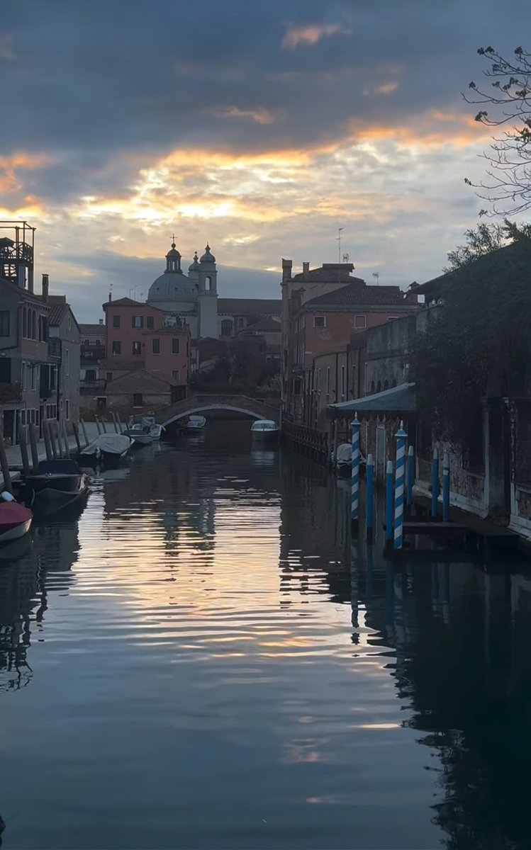 Buongiornoooo a tutti amici miei ☕️😘 buona Festa di Ognissanti e buon weekend 🍁🍂🫶💪🏽🤩