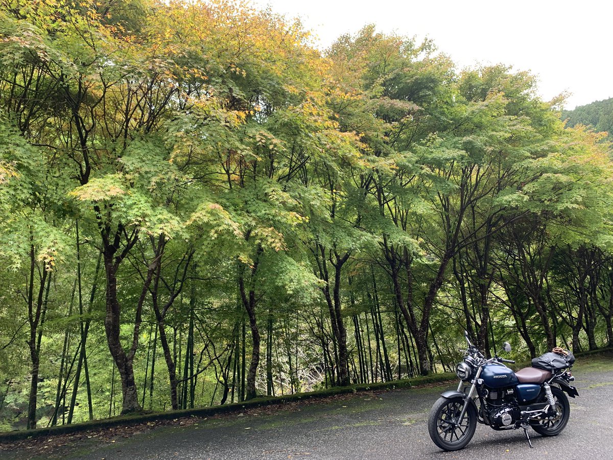 water49482's tweet photo. 豊根ダム　まだ紅葉していませんでした。 https://t.co/DX5DgUNzlX