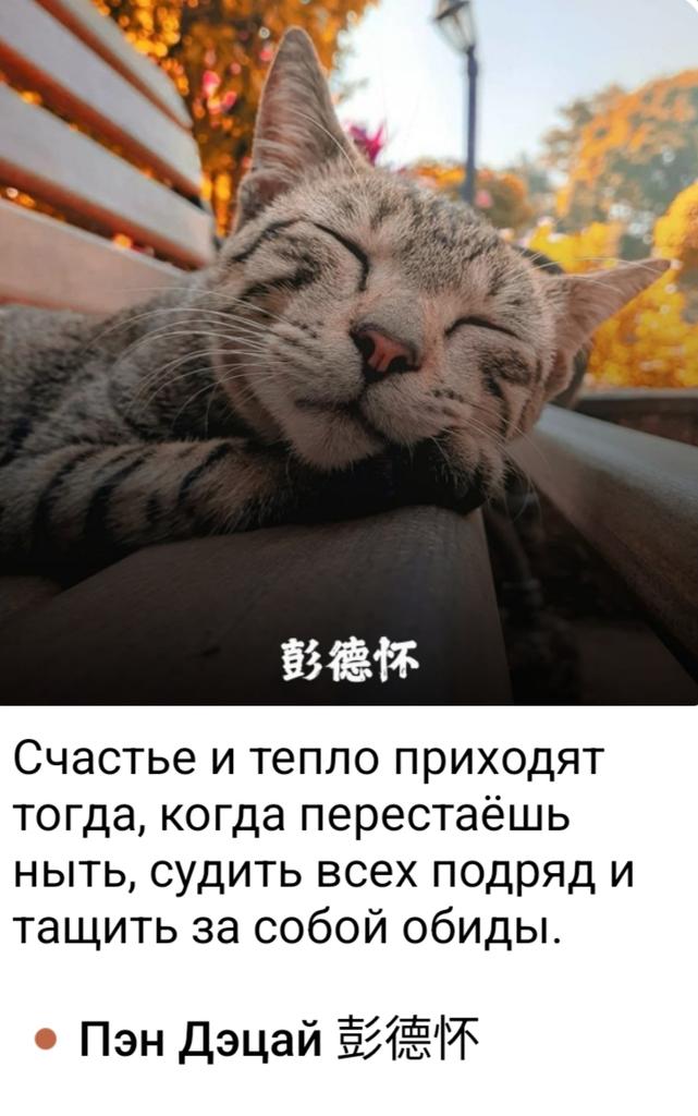 Alex Bohdan (@alexbohdan72) on Twitter photo 