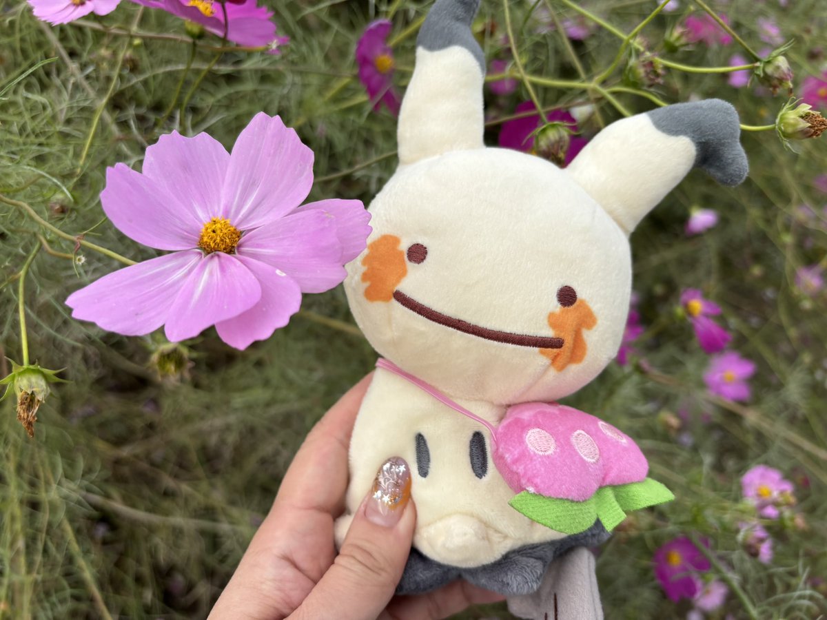 mii❁*✲゜* みみみ❁(mimimi) on X