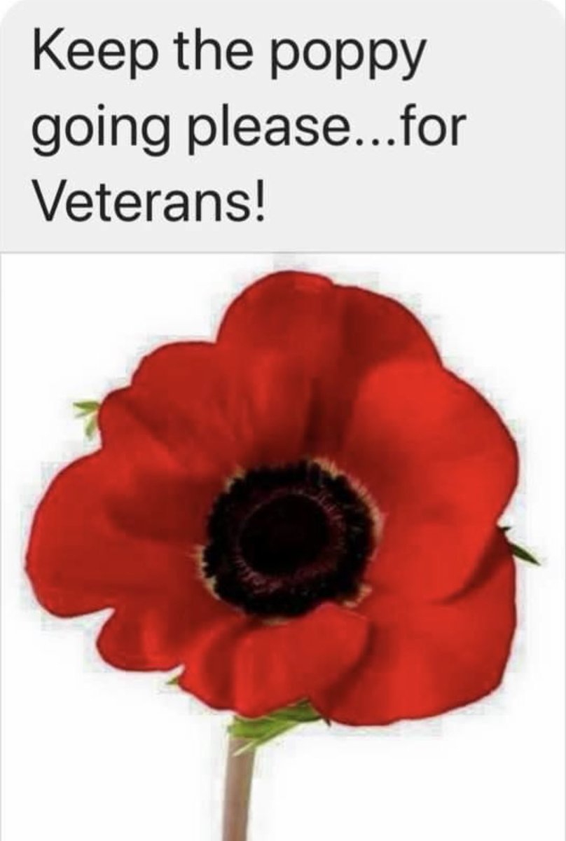 Let’s see this get reposted.  Keep the Poppy going for Veterans 
I’ll start, from AB  🇨🇦