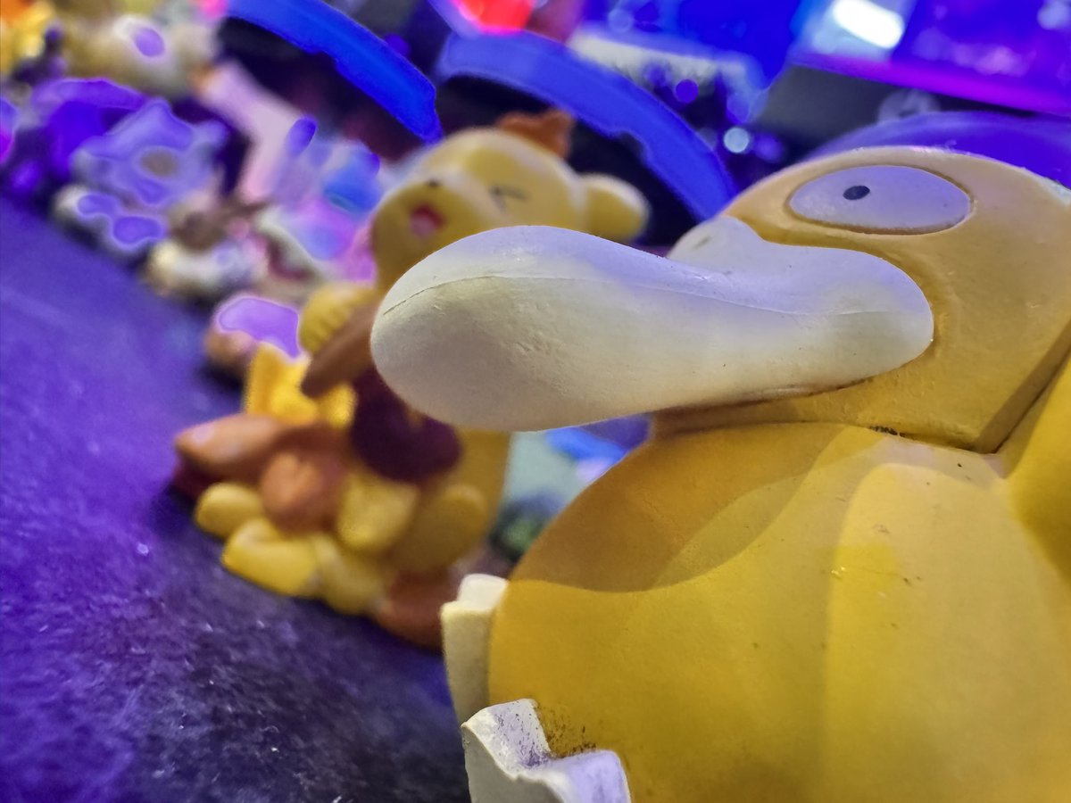 ニャンちゅう (@rightblue0827) / Posts / X