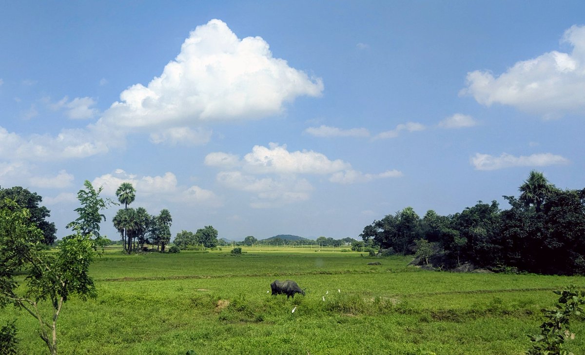 PoetryPragyas's tweet image. For a scenic weekend!!!
.
.
.
#theme_pic_India_cloud
#ScenicSaturday