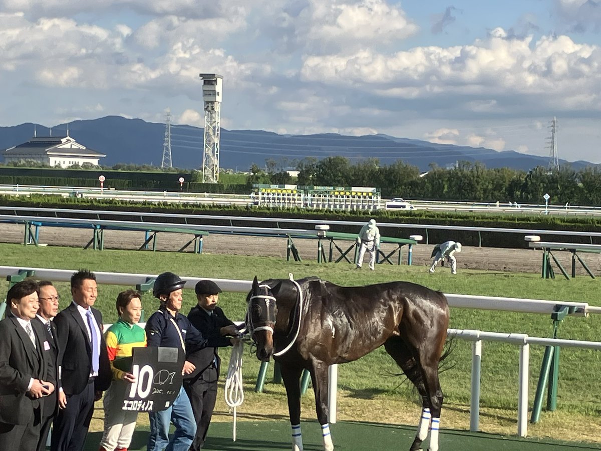 キタサンブラック産駒 - Search / X