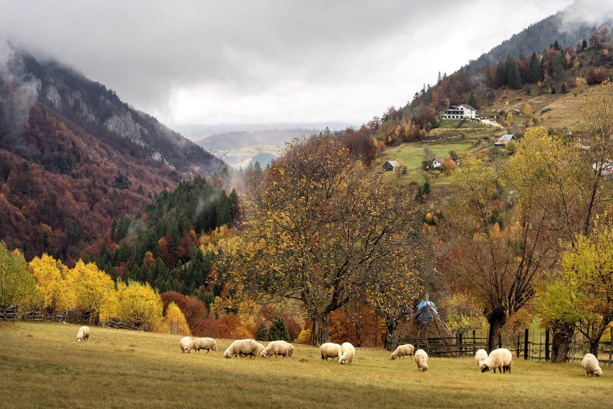 JosefKrieg99804's tweet image. Erdély ősszel.

Gyönyörű országunk van!

fotók face posztból