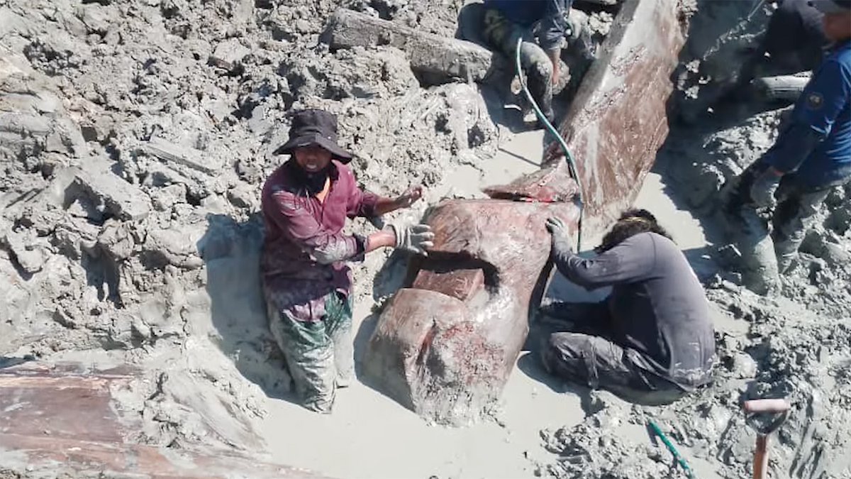 Kapal Purba Berusia Lebih 800 Tahun Ditemukan Di Melaka  amanz.my/2025541228