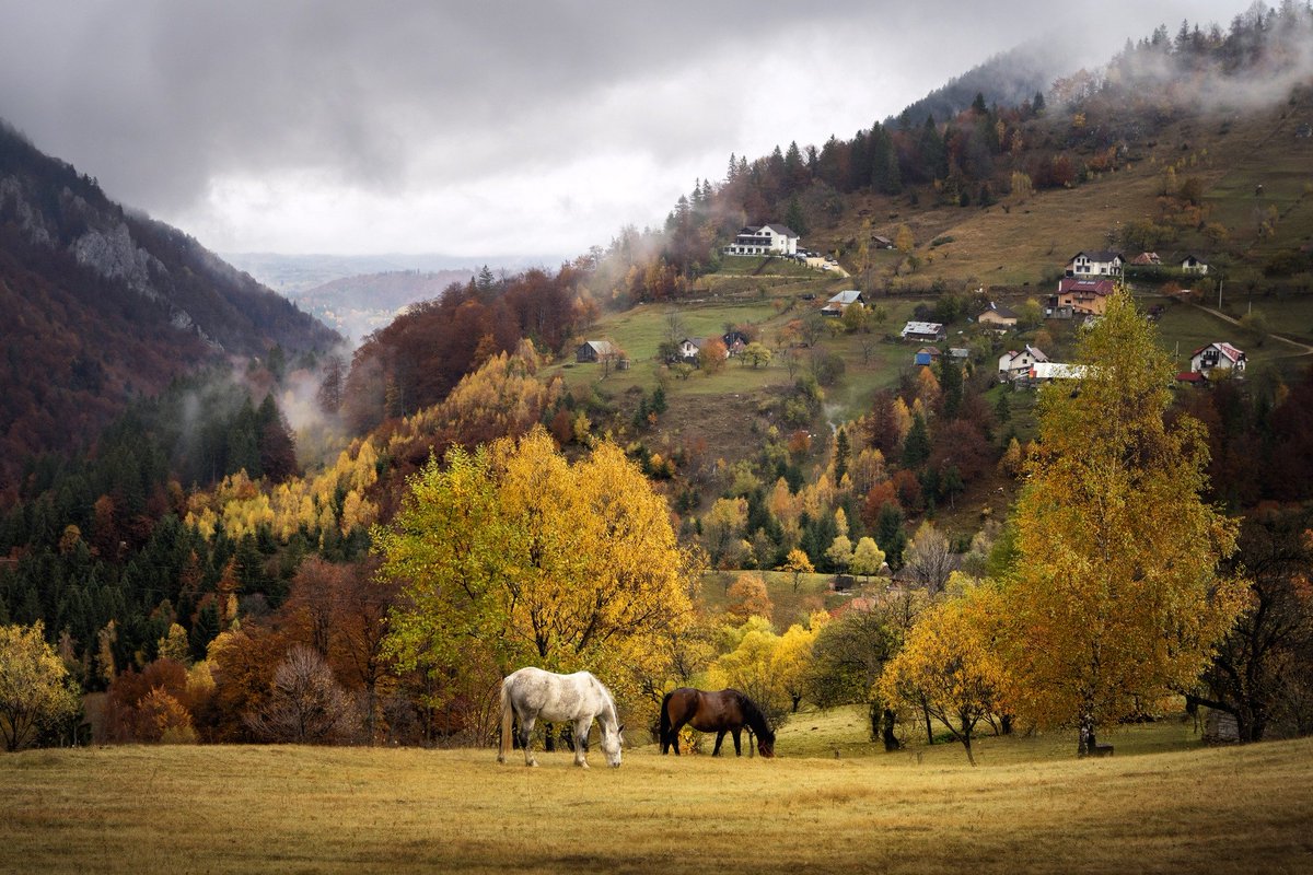 JosefKrieg99804's tweet image. Erdély ősszel.

Gyönyörű országunk van!

fotók face posztból