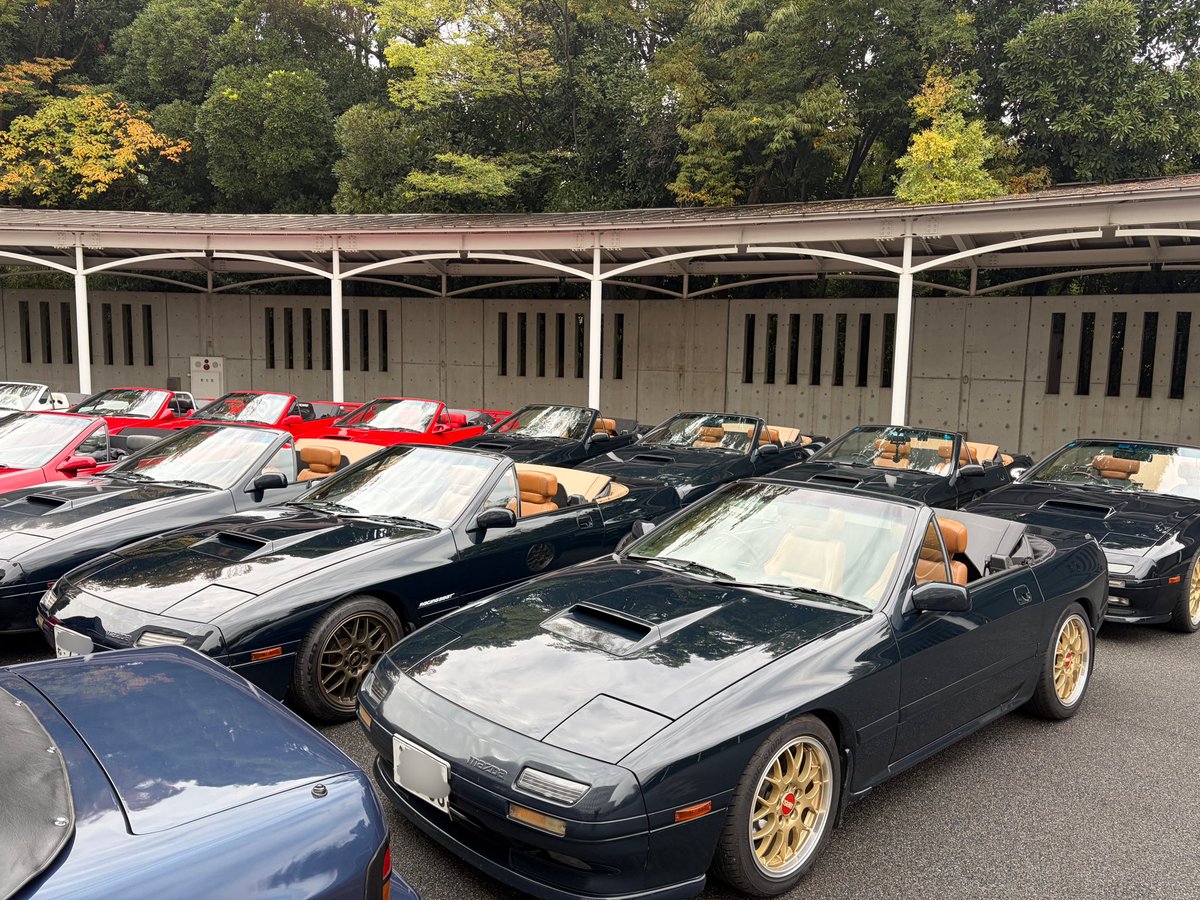 WillForWin2's tweet image. 2025年カブ主総会…
では無くカブリオレミーティングがMRYで行われました。
毎回思うけど普段滅多に同型車見ないのに、こんなに集まるとなんか怖い🤣