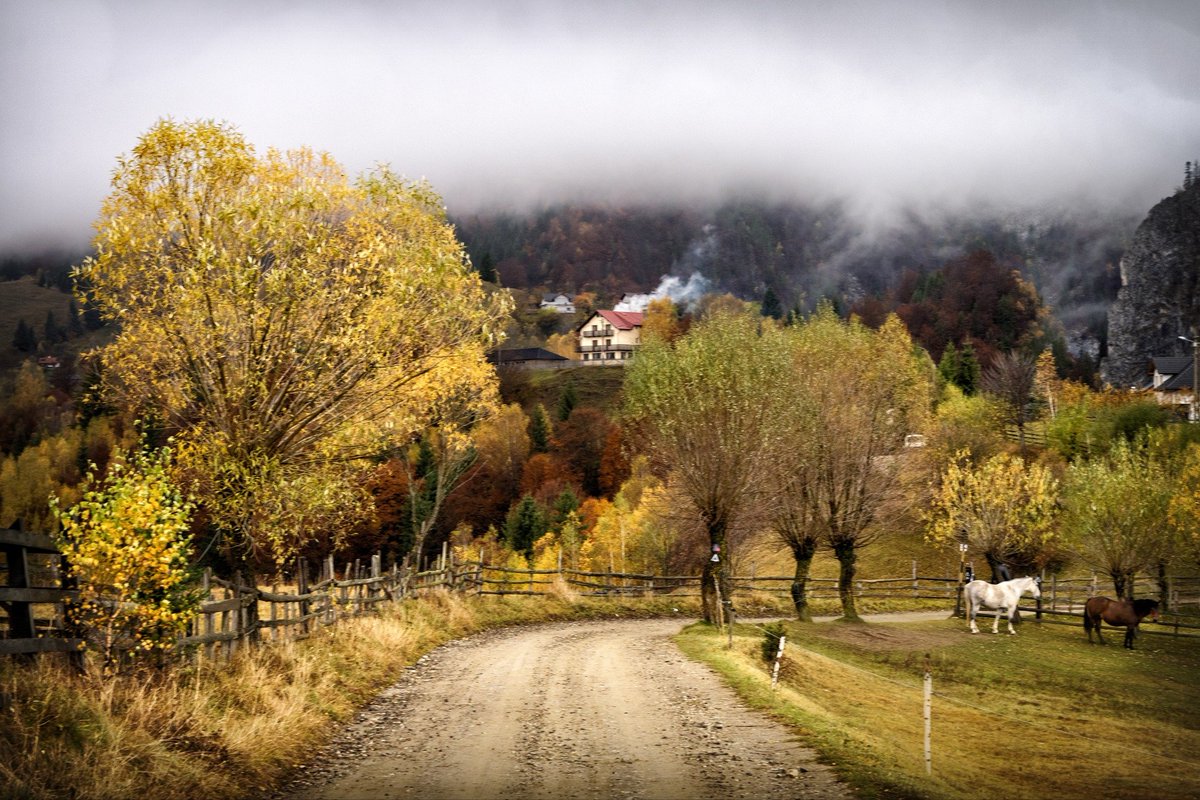 JosefKrieg99804's tweet image. Erdély ősszel.

Gyönyörű országunk van!

fotók face posztból