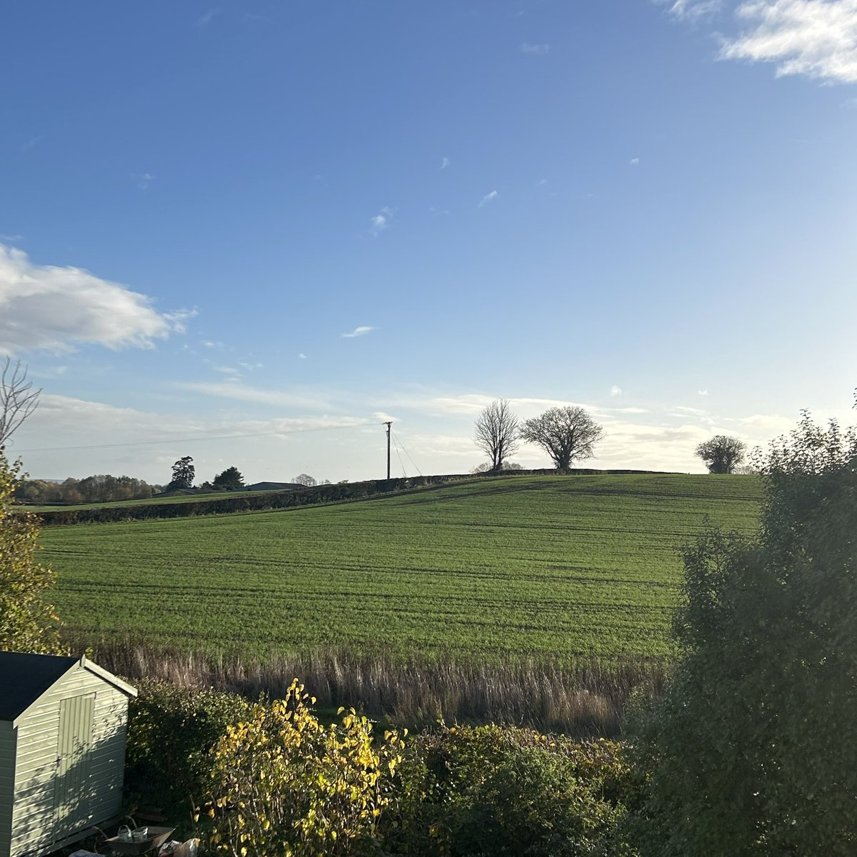 Beautiful day for going #onajaunt to Devon - but whither??😊
(Am awaiting x-Ray of left foot to see if there’s any damage causing the increasing pain I have had for a few months (yup the one I dropped my laptop on some while ago 🙄) so going anywhere for a walk is no fun atm 😕)