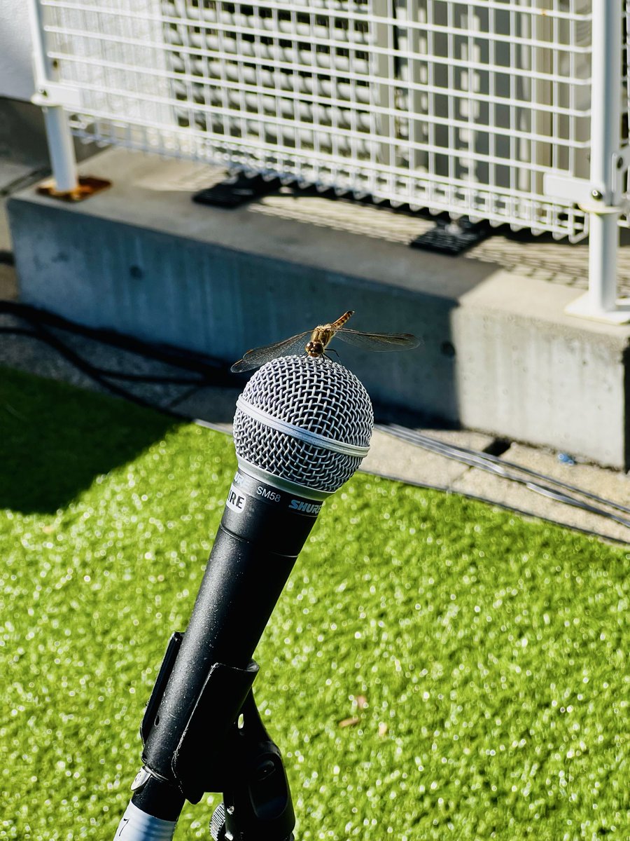 びぶっく (@bigbook) / Posts / X