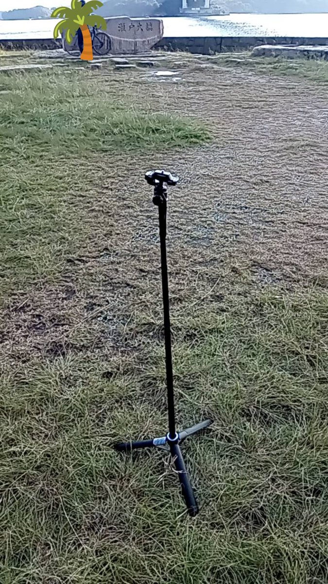 白くまゴッド🐻‍❄️ on X