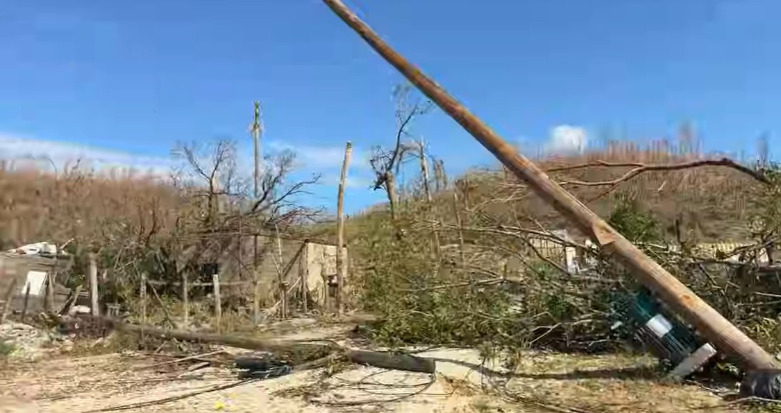 The tree damage seen in Jeff's streams is more akin to an EF4-EF5 tornado than a hurricane.