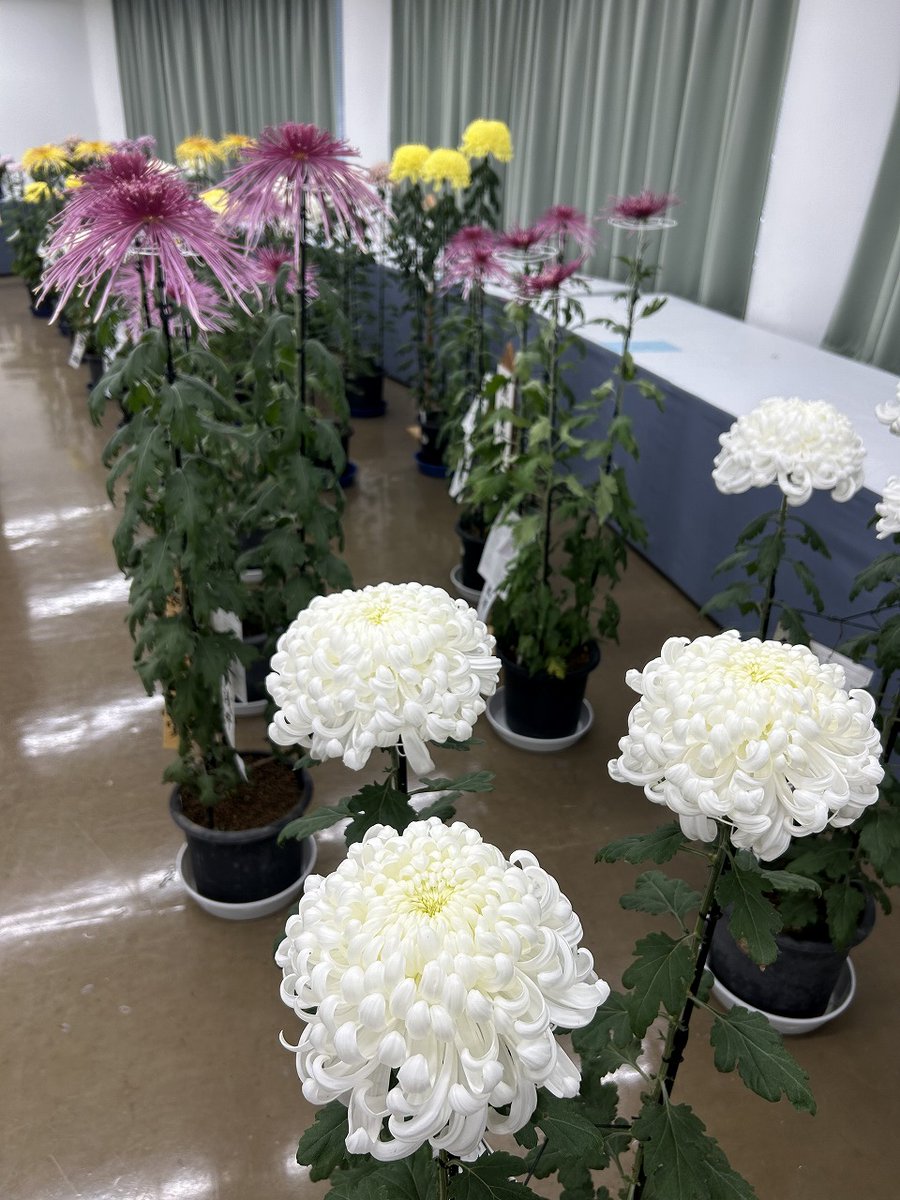 高岡おとぎの森公園【公式】 on X