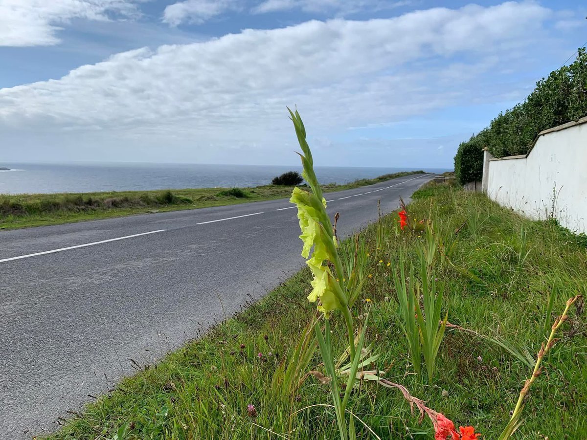 Bloody Foreland, Cnoc Fola 💚💛
