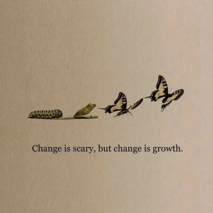 apsara (@apsarawrites) on Twitter photo 