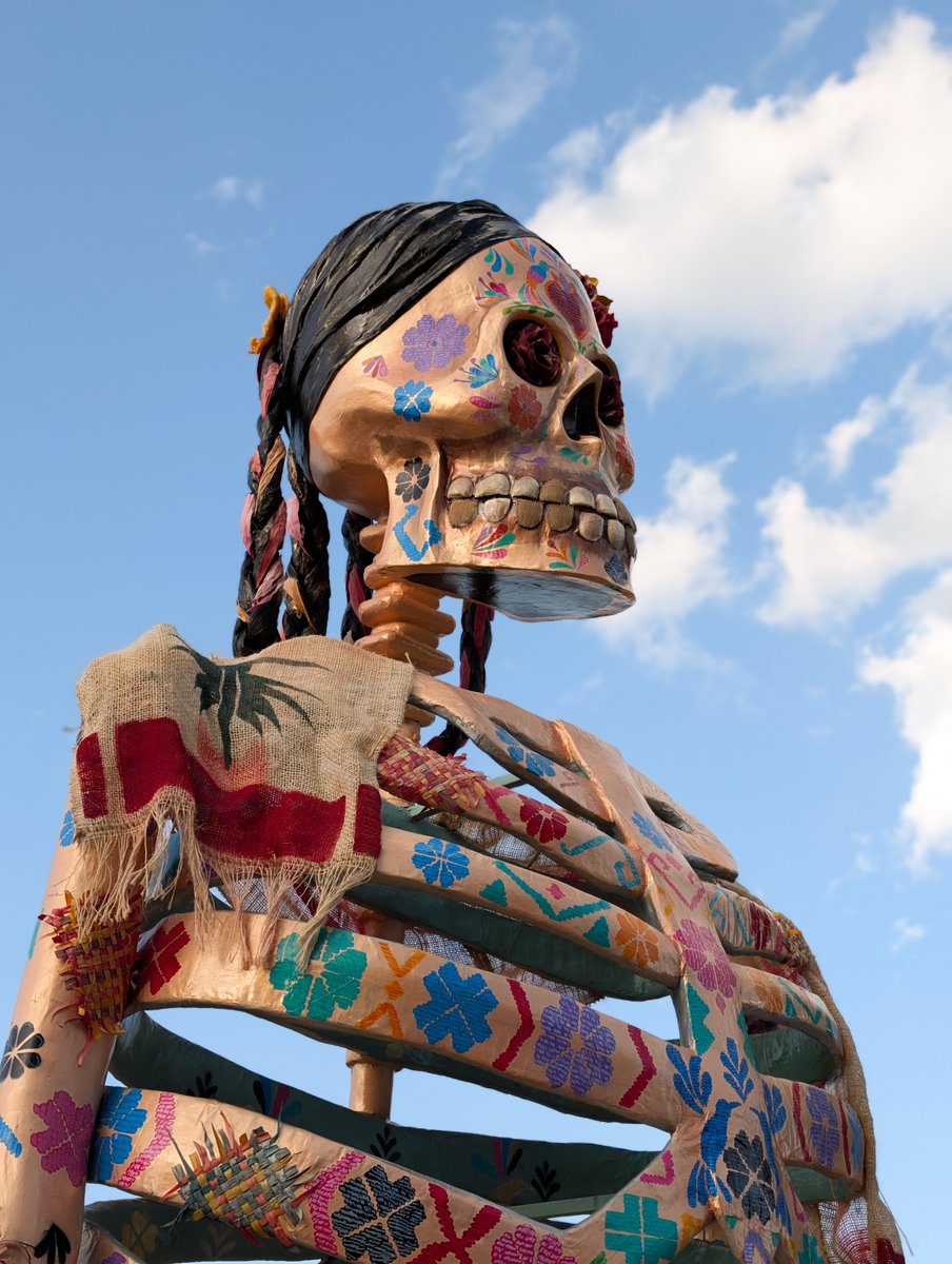 googlemexico's tweet photo. El #DíadeMuertos llega entre catrinas monumentales ☠️
Desde Atlixco, con largos caminos de flores naturales 🌼
Los desfiles de calaveras se convierten en memorias 🇲🇽
Que solo una cámara plasma de formas satisfactorias 📸 https://t.co/5uo339pNlp