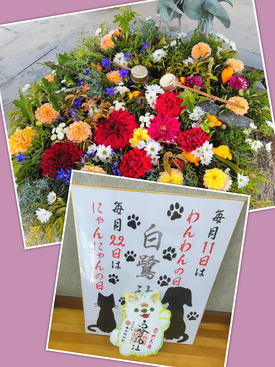 御朱印巡り♡♡ もも on X