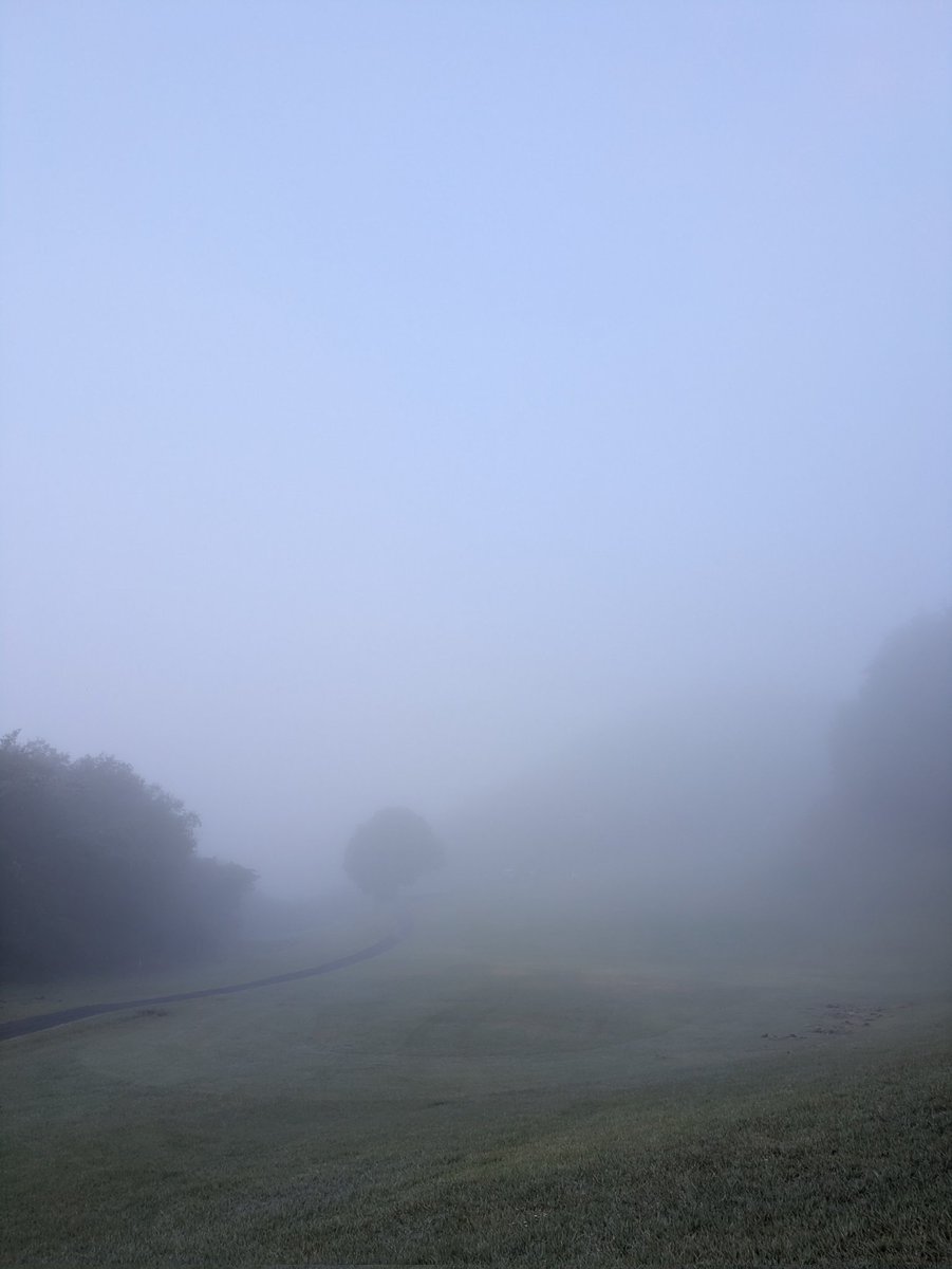 みぃぃたんページです。 🌸myumyu🌸 on X